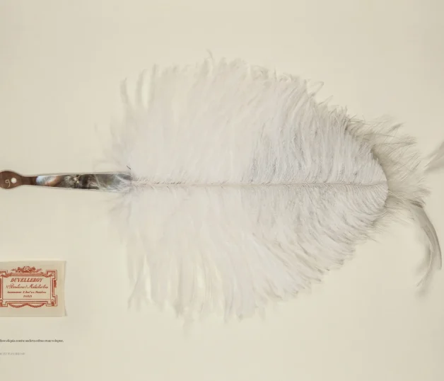Brin d'éventail, nacre grise, autruche coiffée d'une double pampille de coq © Andy Julia